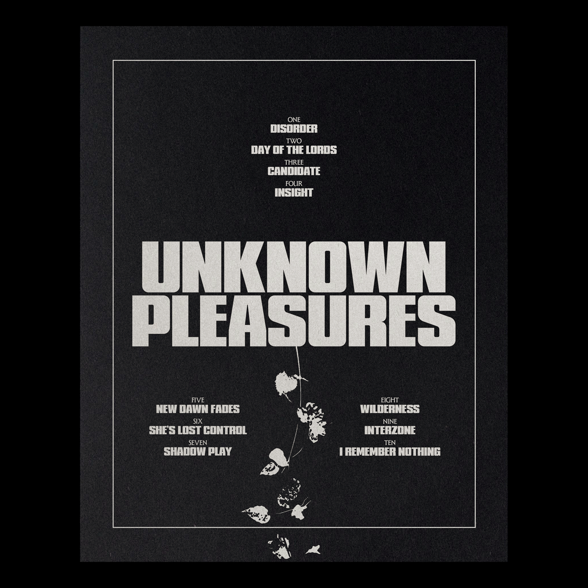 Minerva Sans Serif Display Font