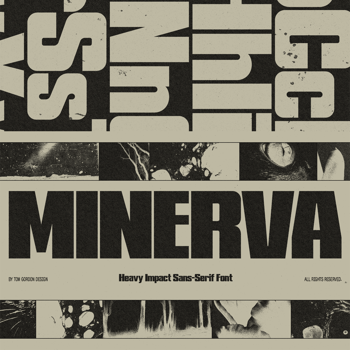 Minerva Sans Serif Display Font