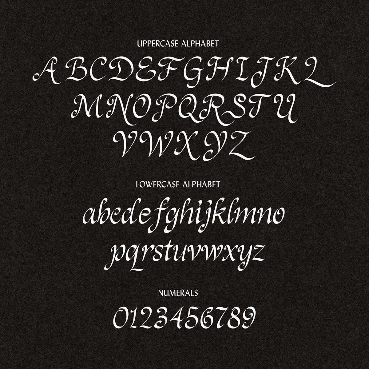 Epitaph Hand Drawn Script Font